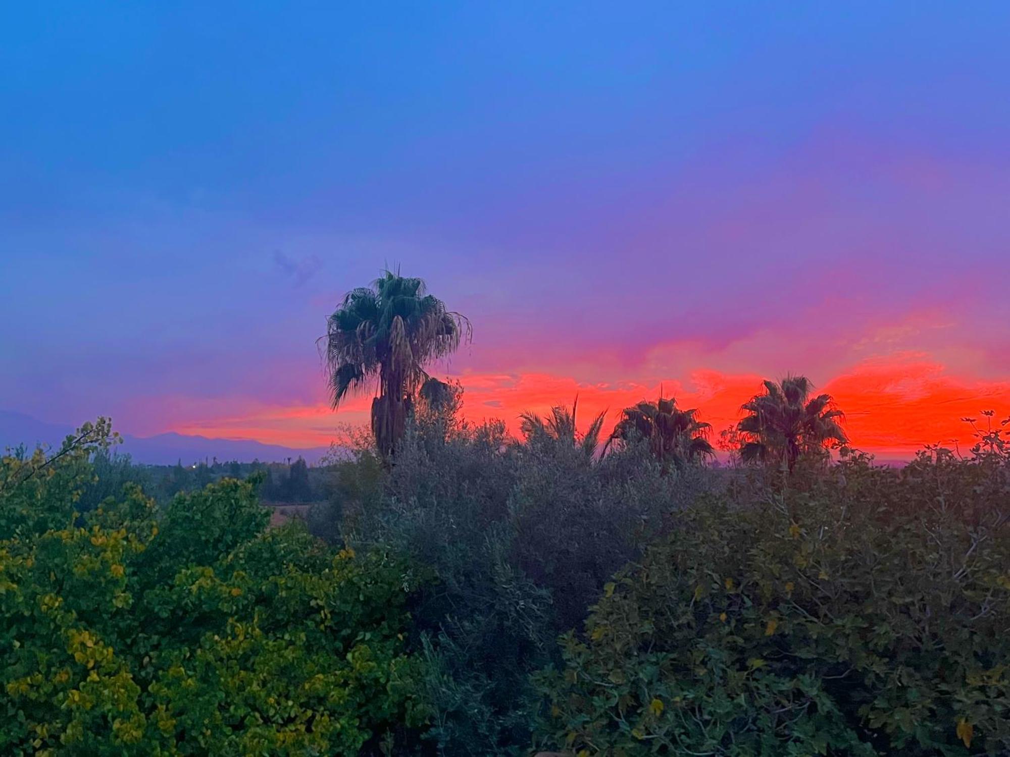 Le Domaine De Carole Marrakech Bed & Breakfast Douar Akkara Exterior photo