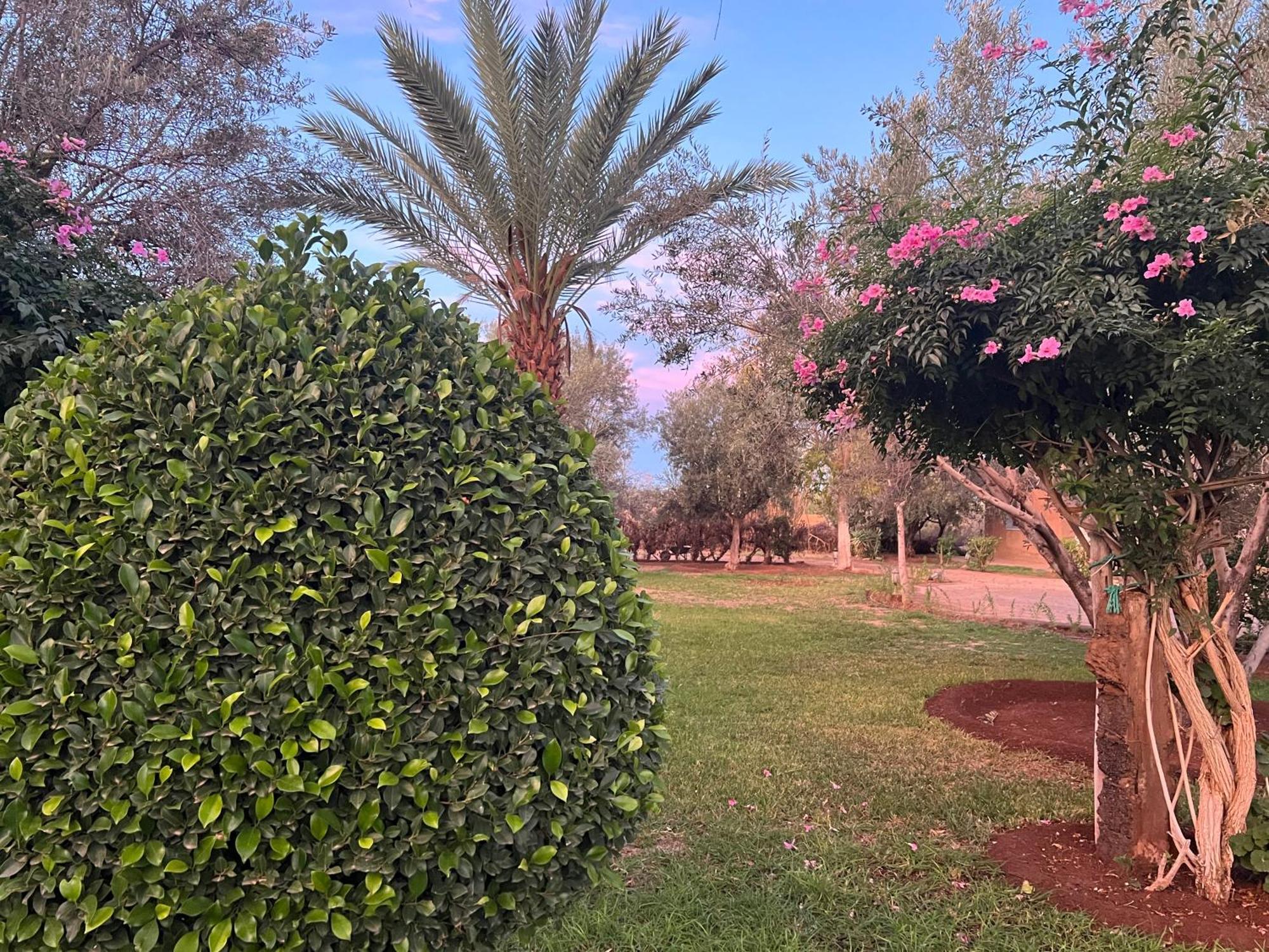 Le Domaine De Carole Marrakech Bed & Breakfast Douar Akkara Exterior photo